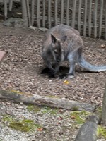 Nutzerbild von XrthuR