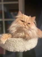 User profile image